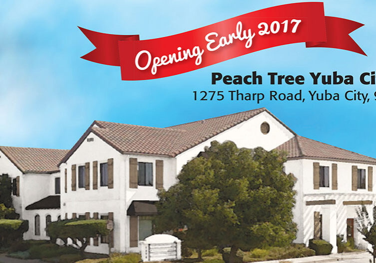 peach tree yuba city flyer